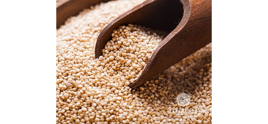 Quinoa blanca 100 grs.